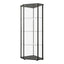 Zenobia - CURIO CABINET