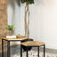 Adger - 2 PC NESTING TABLE