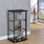 Cyclamen - CURIO CABINET