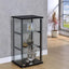Cyclamen - CURIO CABINET
