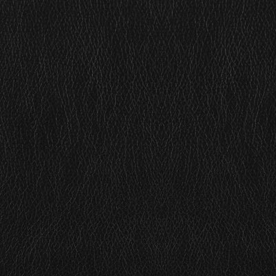 Winchell - Upholstered Padded Arm Tufted Accent Chair - Black