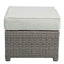 Salena - All Weather Wicker Patio Sofa & Ottoman With 2 Toss Pillows - Beige / Gray
