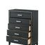 Haiden - Chest, Elegant Design