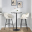 Margarite - Contemporary Barstool (Set of 2)