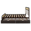 Platform Bed With Trundle And 2 Drawers