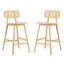 Bari - Indoor Wood Barstool (Set of 2)