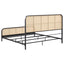 Randall - Bed