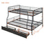 Contemporary Bunk Bed