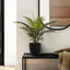 20" Tall, Artificial Plant, Palm, Indoor, Faux, Fake, Table, Greenery, Potted, Real Touch, Decorative - Green / Black