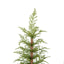 4Ft Pre Lit Artificial Christmas 2 Piece Set - Green