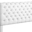 Elegant Transitional Upholstered Bed