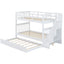 Stairway Bunk Bed & Storage And Guard Rail For Bedroom