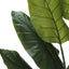 59" Tall, Artificial Plant, Strelitzia Tree, Indoor, Faux, Fake, Floor, Greenery, Potted, Real Touch, Decorative - Green / Black