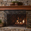 Elegant Design Fire Screen, Protective Barrier