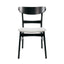 Modern Dining Chairs With Cushioned Seat (Set of 2)