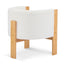 Modern Dining Chairs For Dining Area
