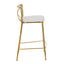 Modern Charlotte - Contemporary Fixed Height Counter Stool (Set of 2)