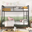 Contemporary Bunk Bed