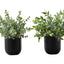 11" Tall, Artificial Plant, Eucalyptus Grass, Indoor, Faux, Fake, Table, Greenery, Potted, Decorative (Set of 2) - Green / Black