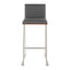 Mason Mara - Contemporary Fixed Height Barstool (Set of 2)