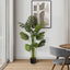55" Tall, Artificial Plant, Monstera Tree, Indoor, Faux, Fake, Floor, Greenery, Potted, Real Touch, Decorative - Green / Black