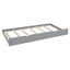 Daybed & All-In-One Cabinet And Shelf