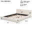 Stylish Upholstered Bed With Birch Wood Frame