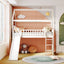 Loft Bed With Slide