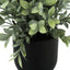 11" Tall, Artificial Plant, Eucalyptus Grass, Indoor, Faux, Fake, Table, Greenery, Potted, Decorative (Set of 2) - Green / Black