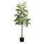 52" Tall, Artificial Plant, Rubber Tree, Indoor, Fake, Floor, Greenery, Potted, Real Touch, Decorative - Green / Black