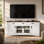 Modern TV Console & Adjustable Shelves