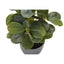 Artificial Ficus Elastica Plant (Set of 2)