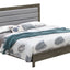 Transitional Modern Design Bed