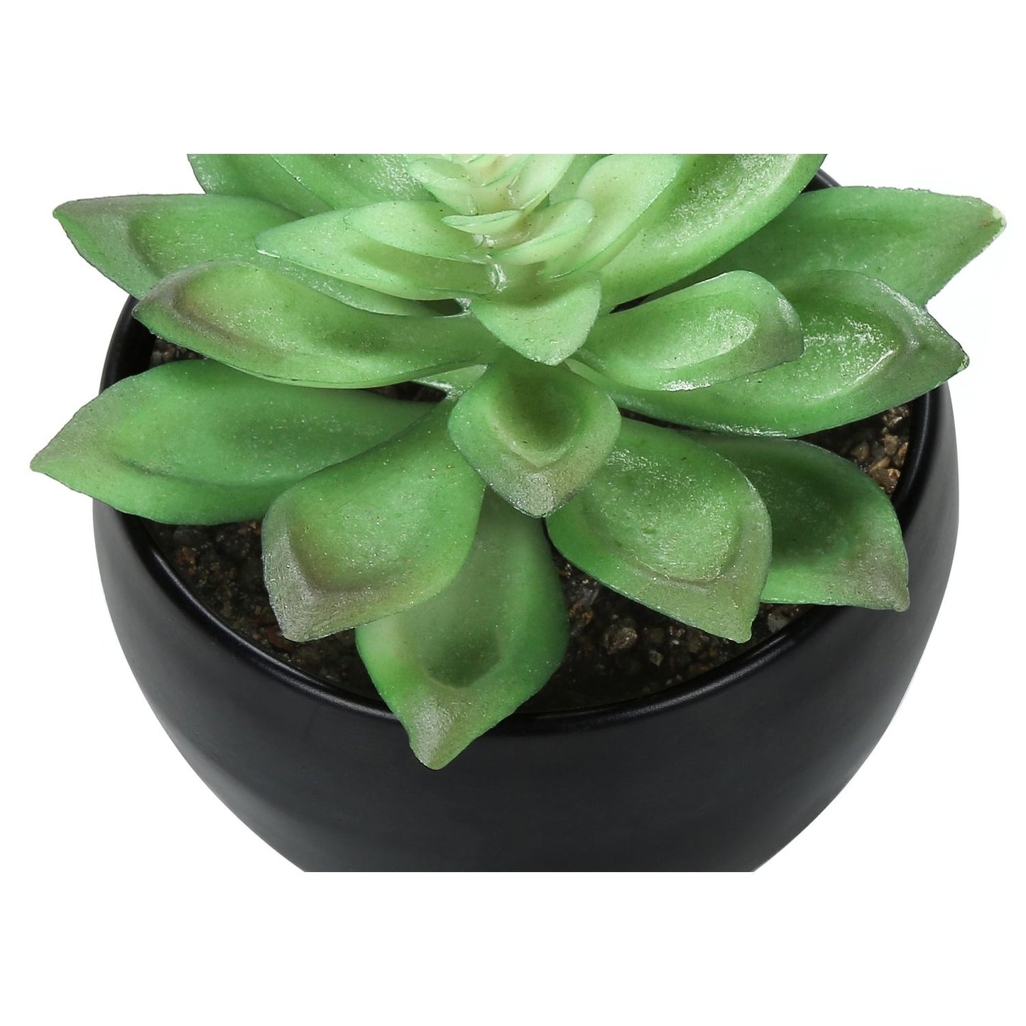 Artificial Succulent Plants (Set of 3)