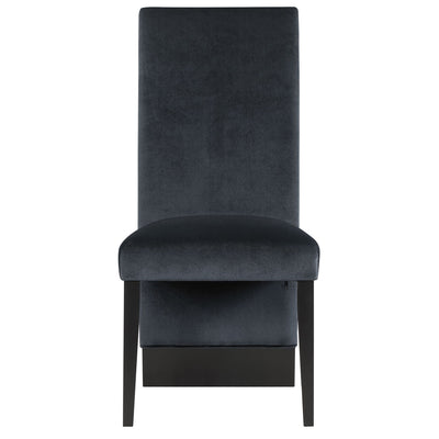 Stacey - Contemporary Dining Chair (Set of 2)