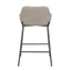 Daniella - Industrial Fixed Height Counter Stool (Set of 2)