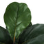 49" Tall, Artificial Plant, Fiddle Tree, Indoor, Faux, Fake, Floor, Greenery, Potted, Real Touch, Decorative - Green / Black