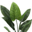 37" Tall, Artificial Plant, Aureum Tree, Indoor, Faux, Fake, Floor, Greenery, Potted, Real Touch, Decorative - Green / Black