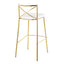 Modern Charlotte - Contemporary Fixed Height Barstool (Set of 2)