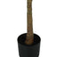 47" Tall, Artificial Plant, Fiddle Tree, Indoor, Fake, Floor, Greenery, Potted, Real Touch, Decorative - Green / Black