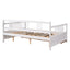 Multifunctional Elegant Modern Daybed