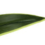 47" Tall, Artificial Plant, Dracaena Tree, Indoor, Faux, Fake, Floor, Greenery, Potted, Real Touch, Decorative - Green / Black