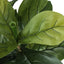 41" Tall, Artificial Plant, Fiddle Tree, Indoor, Faux, Fake, Floor, Greenery, Potted, Real Touch, Decorative - Green / Black