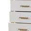 Obsession - 5 Drawer LED Chest - White
