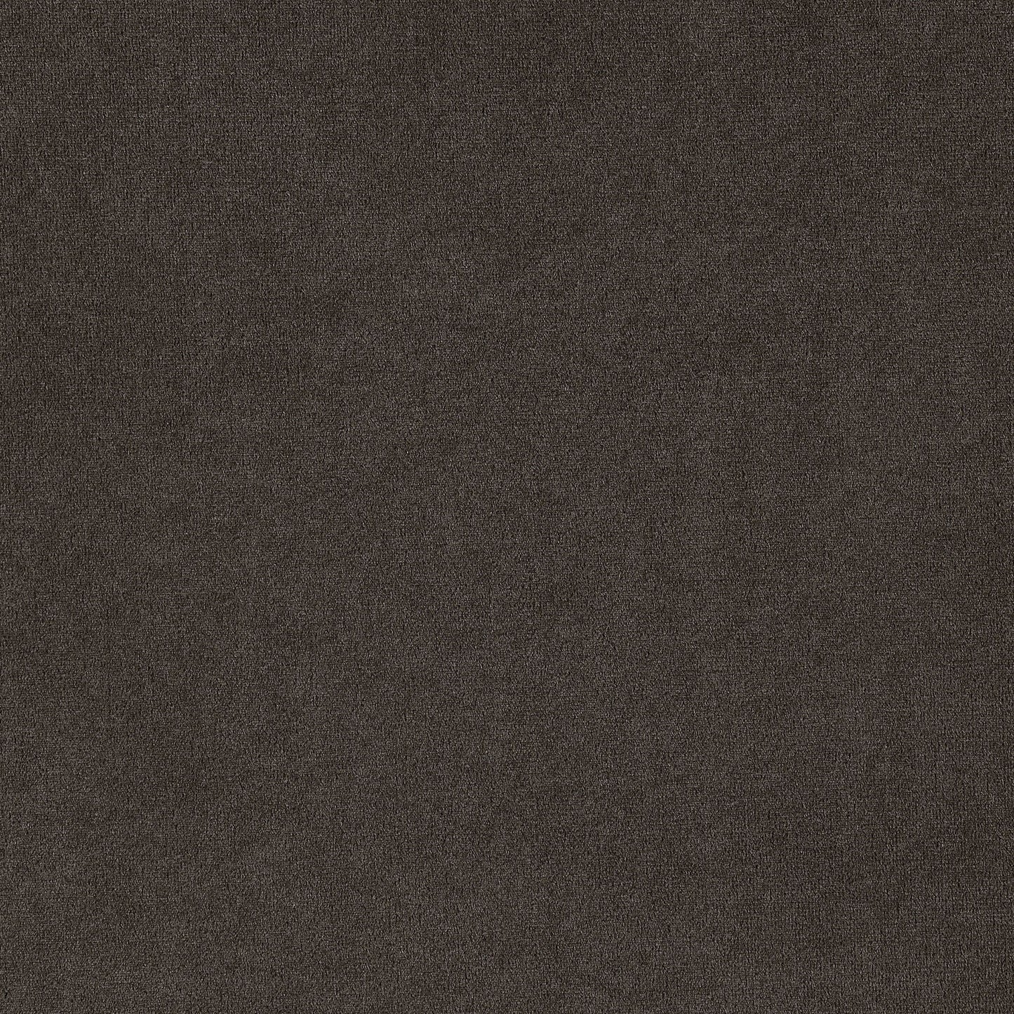 Side Chairs With Tufting Nailhead Trim (Set of 2) - Brown