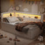 Upholstered Platform Bed With USB Ports And LED Belt