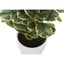 Artificial Ficus Elastica Plant (Set of 2)