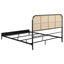 Kenneth - Radio Weave Bed
