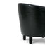 Austin - Transitional Tub Chair