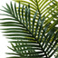 57" Tall, Artificial Plant, Palm Tree, Indoor, Faux, Fake, Floor, Greenery, Potted, Real Touch, Decorative - Green / Black